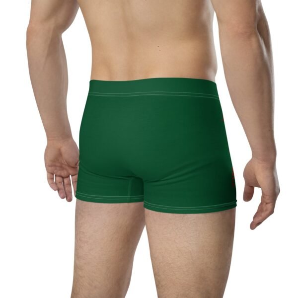 Boxer Briefs - Image 5