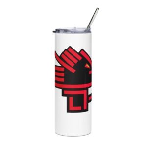 Stainless steel tumbler